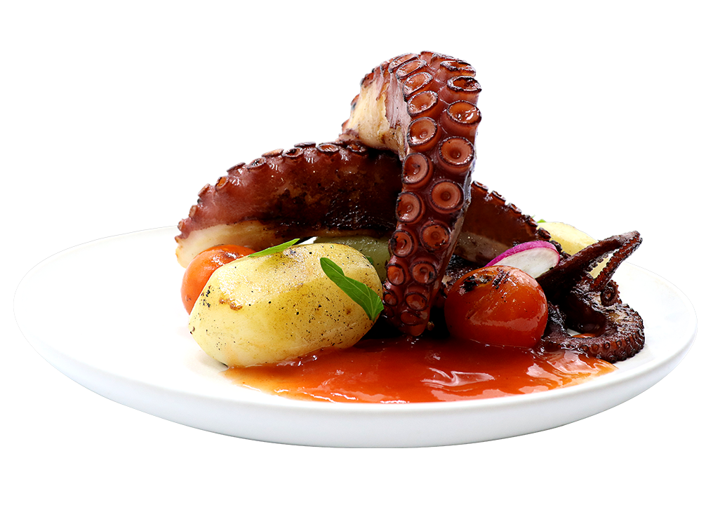 A love of OCTOPUS